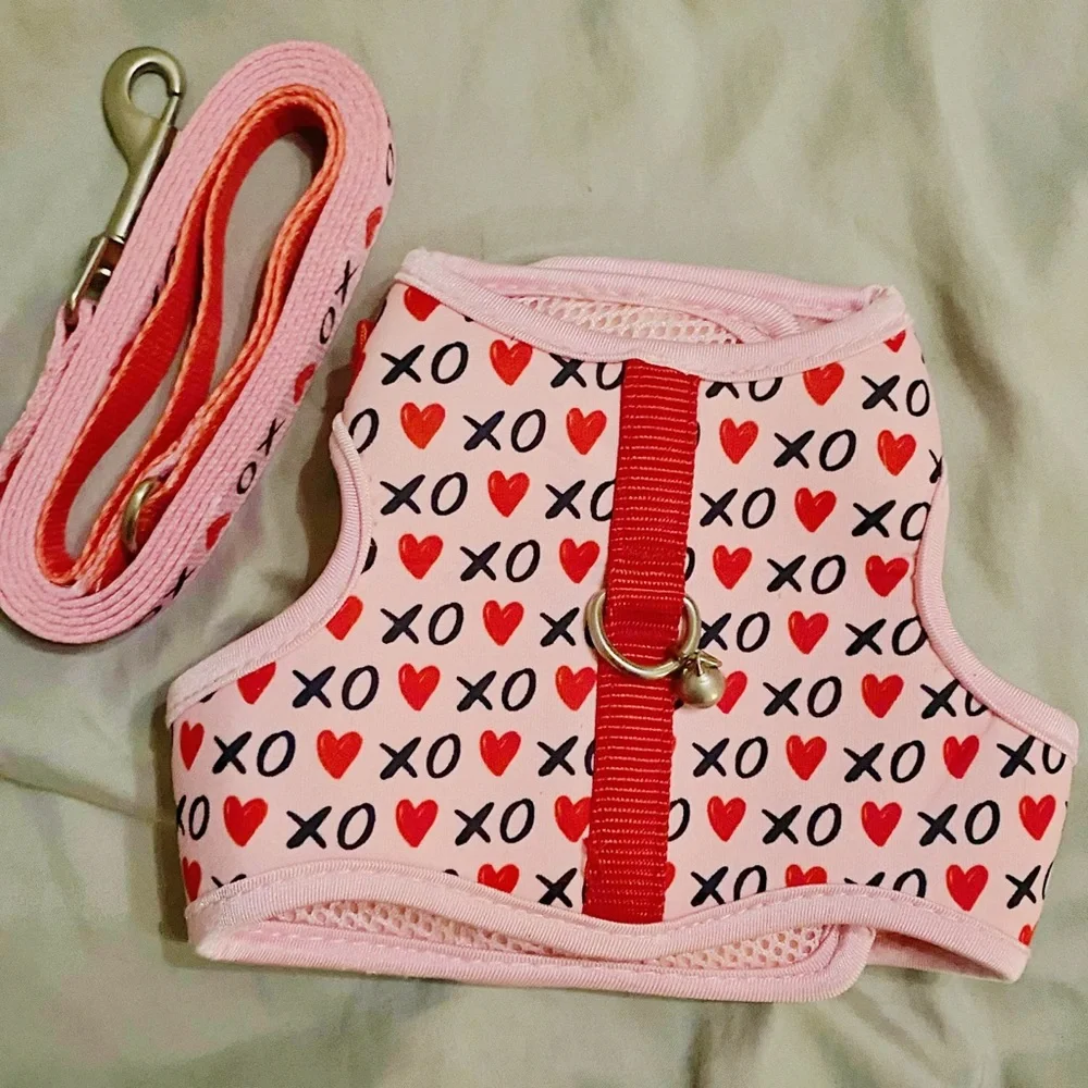 XOXO valentine pink harness